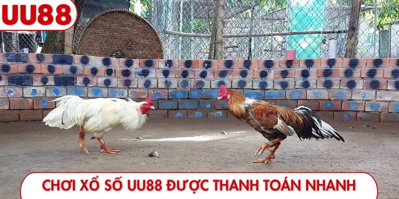 Chơi xổ số UU88 được thanh toán nhanh