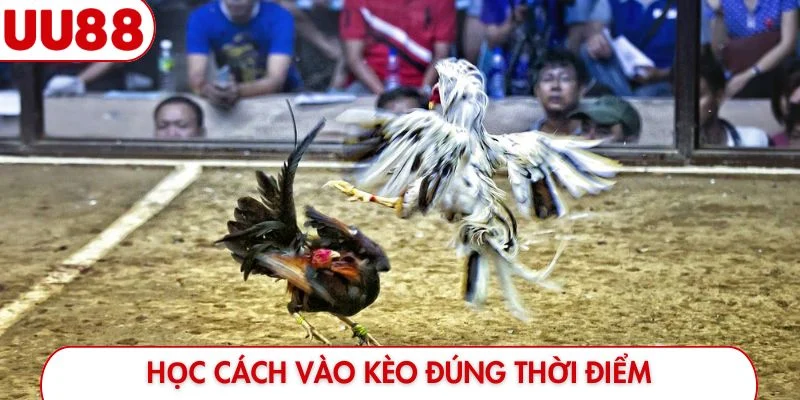 Học cách vào kèo đúng thời điểm